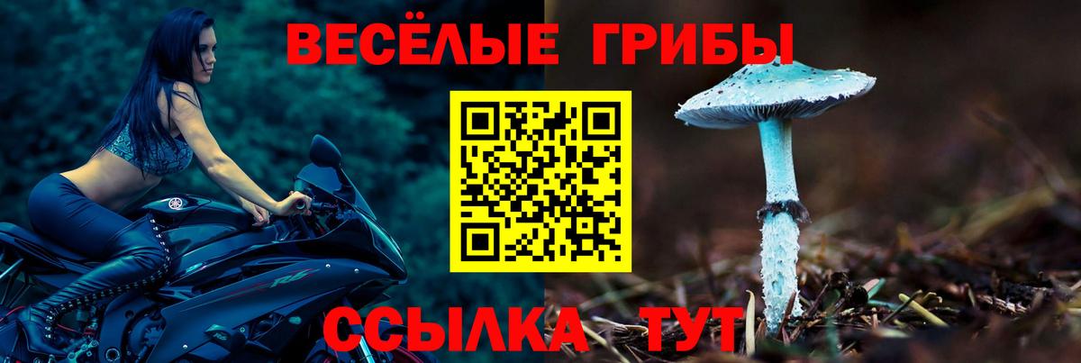 Псилоцибиновые грибы Cubensis Кимовск