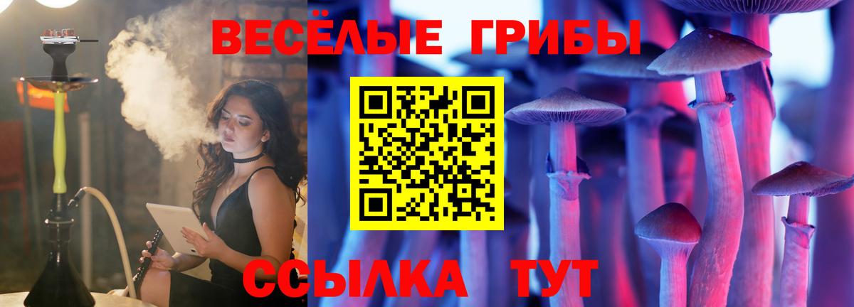 Кимовск  Псилоцибиновые грибы мицелий  Вход с VPN 